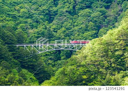 【静岡県】大井川鐵道井川線 関の沢橋梁を渡る列車 【静岡県】大井川鐵道井川線 関の沢橋梁を渡る列車 123541291