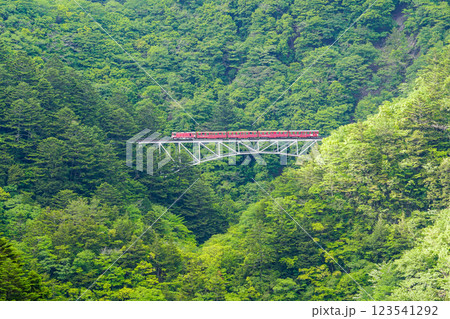 【静岡県】大井川鐵道井川線　関の沢橋梁を渡る列車 123541292