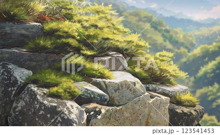 森の中の岩から生えた草 森の中の岩から生えた草 123541453