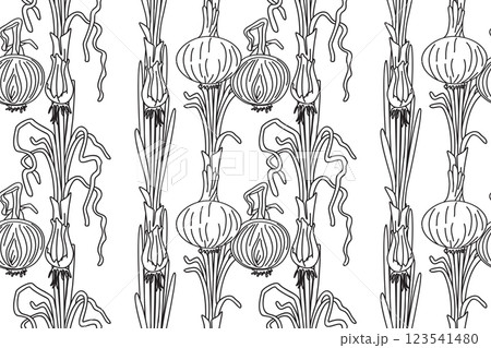 Line art seamless pattern with onions plants vector illustration. Hand drawn outline repeating vegetables pattern background. Graphic design for Cover Coloring Book Textile Fashion Print Birthday Card 123541480