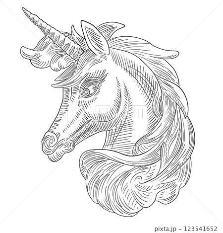 Engraved Unicorn Vintage Ink Drawing Line Art in Vintage style Engraved Unicorn Vintage Ink Drawing Line Art in Vintage style 123541652