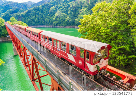【静岡県】大井川鐵道レインボーブリッジを渡る列車 123541775