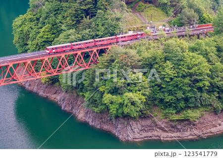【静岡県】大井川鐵道レインボーブリッジを渡る列車 123541779