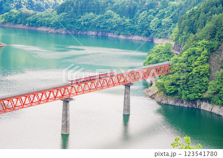 【静岡県】大井川鐵道レインボーブリッジを渡る列車 123541780