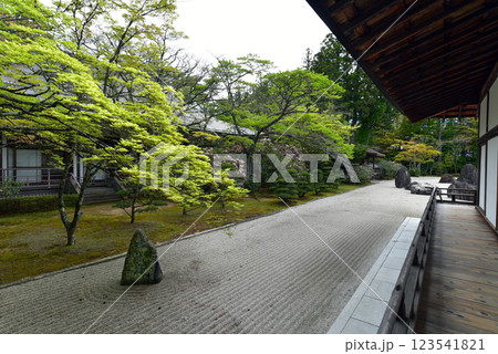 高野山　金剛峯寺の蟠龍庭 123541821