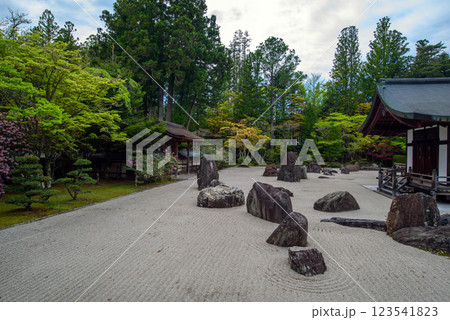 高野山　金剛峯寺の蟠龍庭 123541823
