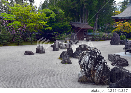 高野山　金剛峯寺の蟠龍庭 123541827