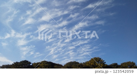 稲毛海岸の青い空と白い雲 稲毛海岸の青い空と白い雲 123542059