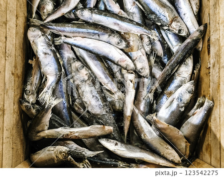 Frozen fish in the supermarket. Quick frozen fish Frozen fish in the supermarket. Quick frozen fish 123542275