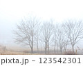 朝霧と樹木 123542301