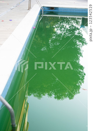 Swimming pool with dirty green water close-up. Swimming pool with dirty green water close-up. 123542519