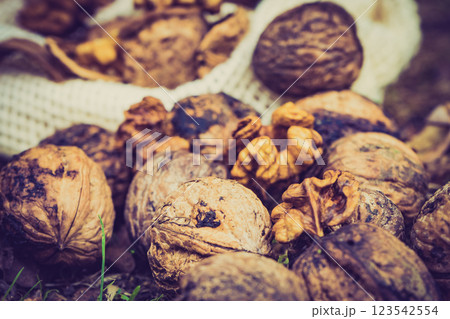 Walnut whole and kernels outdoors on ground. 123542554