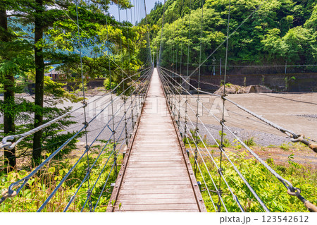 【静岡県】奥大井川にかかる、両国吊橋 【静岡県】奥大井川にかかる、両国吊橋 123542612