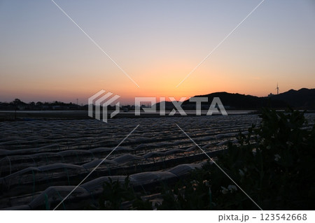 (淡路島)001 (淡路島)001 123542668
