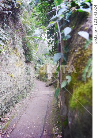 鋸山の整備された通路 123543024