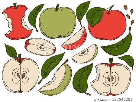 Set of color illustrations in hand draw style Set of color illustrations in hand draw style 123543292