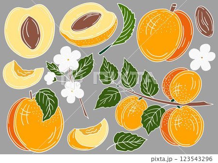 Set of color illustrations in hand draw style Set of color illustrations in hand draw style 123543296