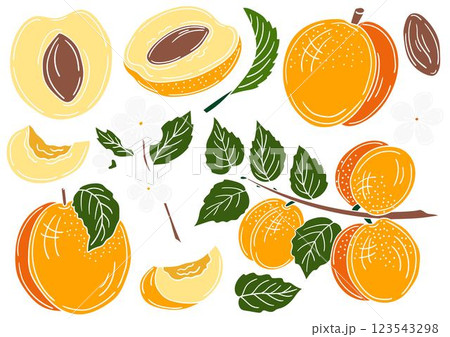 Set of color illustrations in hand draw style Set of color illustrations in hand draw style 123543298