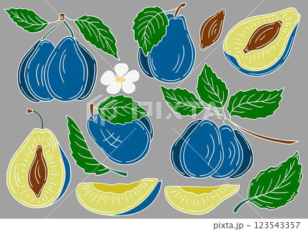 Set of color illustrations in hand draw style Set of color illustrations in hand draw style 123543357