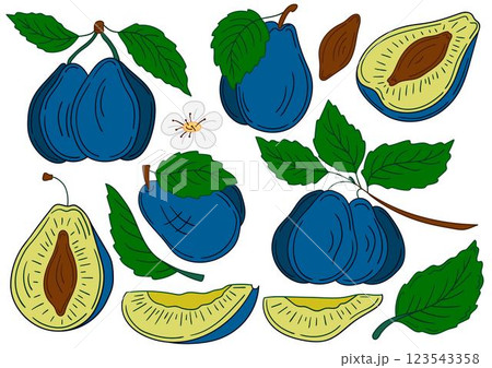 Set of color illustrations in hand draw style Set of color illustrations in hand draw style 123543358