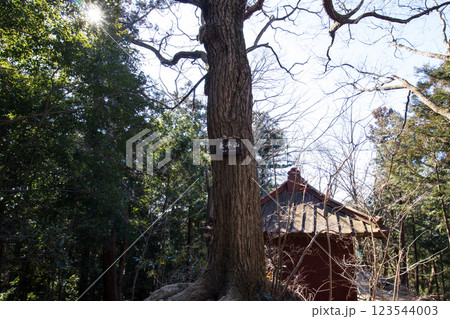太平山 山頂 太平山 山頂 123544003