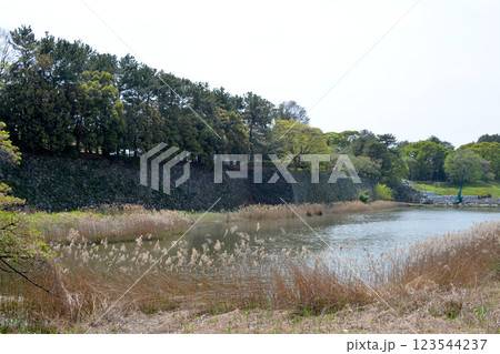 愛知県名古屋市中区_名古屋城北側の外濠1_2024年4月 123544237