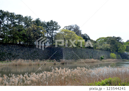 愛知県名古屋市中区_名古屋城北側の外濠5_2024年4月 123544241