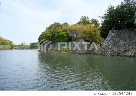 愛知県名古屋市中区_名古屋城北側の外濠10_2024年4月 愛知県名古屋市中区_名古屋城北側の外濠10_2024年4月 123544245