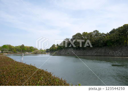 愛知県名古屋市中区_名古屋城北側の外濠17_2024年4月 123544250