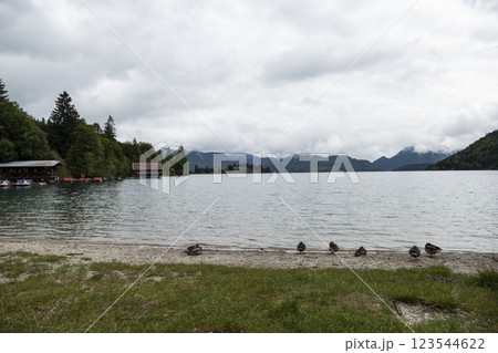 Lake Kochelsee, Kochel am See, Bavaria, Germany 123544622