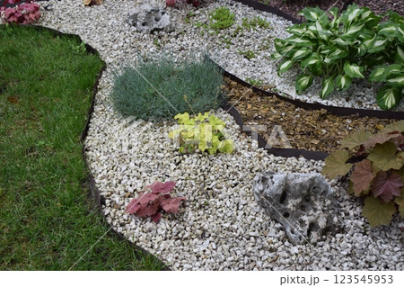 A well-maintained garden area featuring a variety of plants. Variegated Hosta Garden A well-maintained garden area featuring a variety of plants. Variegated Hosta Garden 123545953