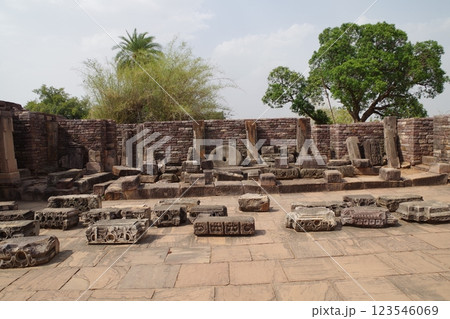 インド　世界遺産サーンチーの仏教建築物群 123546069