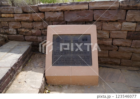 インド　世界遺産サーンチーの仏教建築物群 123546077