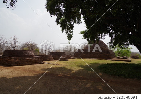 インド　世界遺産サーンチーの仏教建築物群 123546091