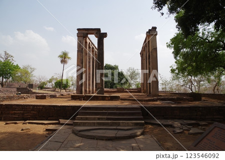 インド 世界遺産サーンチーの仏教建築物群 インド 世界遺産サーンチーの仏教建築物群 123546092