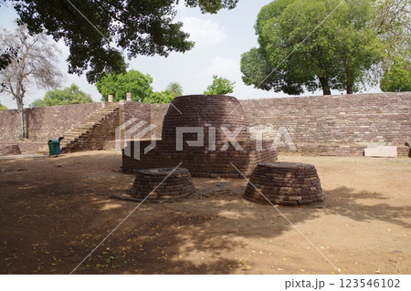 インド　世界遺産サーンチーの仏教建築物群 123546102