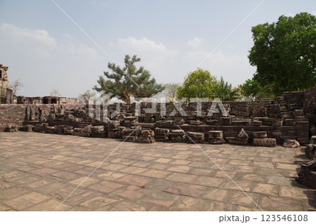 インド　世界遺産サーンチーの仏教建築物群 123546108