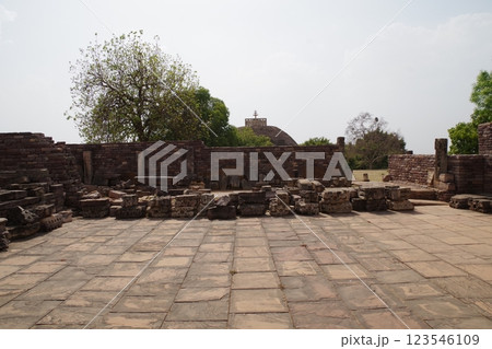 インド　世界遺産サーンチーの仏教建築物群 123546109