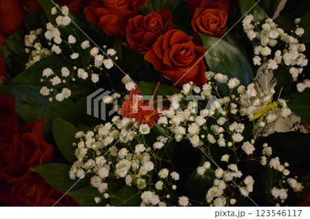scarlet roses in a bouquet, accompanied by white gypsophila and butterflies, embodies romance, beauty, and delicacy. 123546117