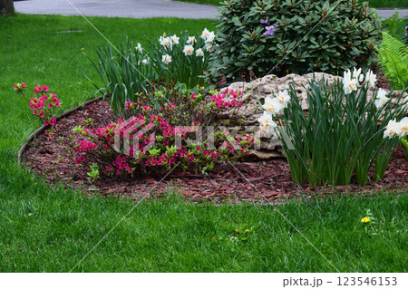 A well-kept garden with a green lawn border and a flower bed. Tidy Mulched Flower Bed A well-kept garden with a green lawn border and a flower bed. Tidy Mulched Flower Bed 123546153