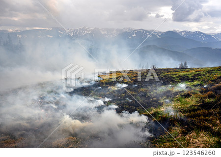 Smoke and flames rising from the burning mountains 123546260