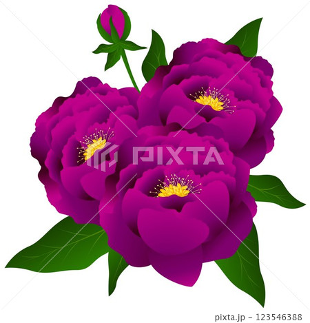 Bouquet purple peonies. Bouquet purple peonies. 123546388