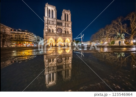 復旧後のノートルダム大聖堂　2024年12月　 123546964