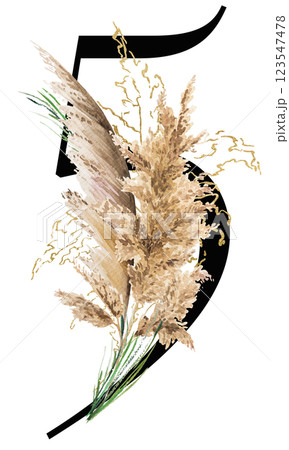 Black number 5 with watercolor biege and golden dried pampas grass, tropical wedding illustration 123547478