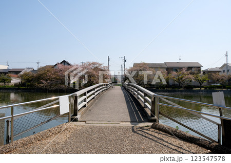 三重県桑名市_九華公園二之丸橋4_2024年4月 三重県桑名市_九華公園二之丸橋4_2024年4月 123547578