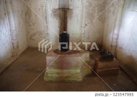 インド　世界遺産カジュラーホーの建造物群 123547993