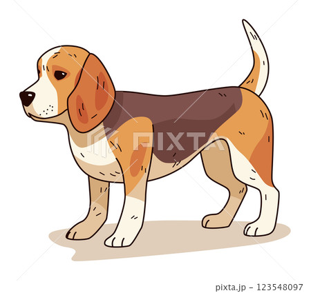 Beagle dog cartoon cute standing brown white playful pet design isolated on white background 123548097