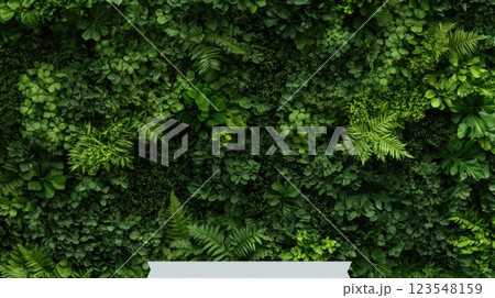 Lush greenery fills the landscape featuring stars and a checkmark symbolizing top environmental quality in an eco-friendly forest Lush greenery fills the landscape featuring stars and a checkmark symbolizing top environmental quality in an eco-friendly forest 123548159