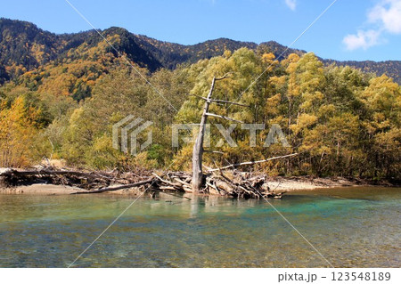 上高地の焼岳 123548189