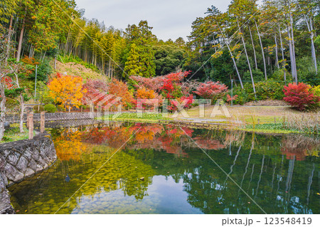 袋井市にある可睡斎の放生池の水面に映る紅葉の風景(静岡県) 123548419